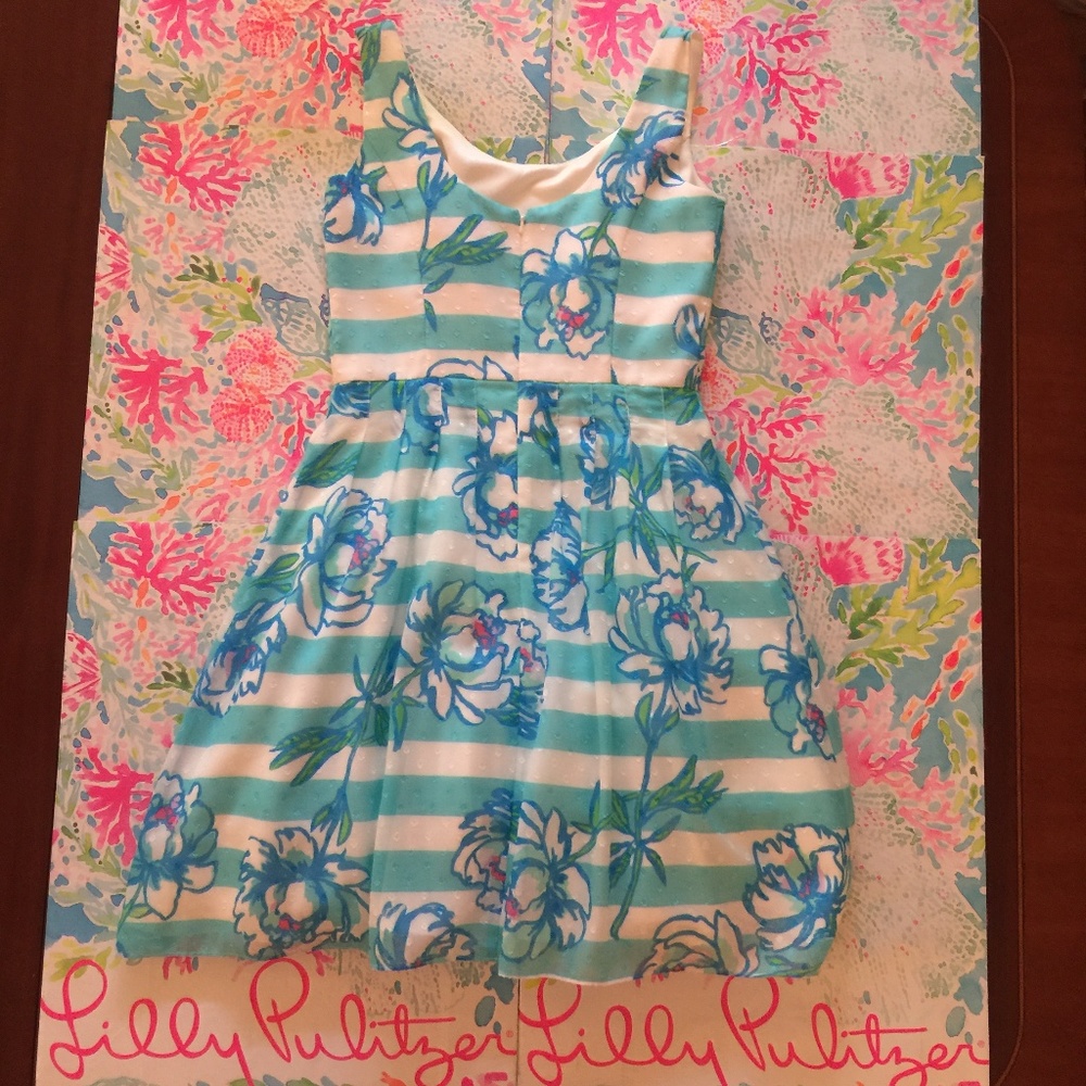 Lilly Pulitzer Posey Dress Size 2 - Picture 6 of 7
